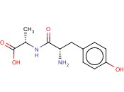 <span class='lighter'>Y-A</span>