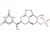 2,6-二<span class='lighter'>甲基</span><span class='lighter'>吗</span><span class='lighter'>啉</span>代甲脒氢溴化
