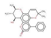 INOPHYLLUM B