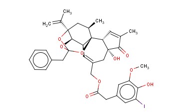 <span class='lighter'>I-RTX</span>