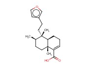 <span class='lighter'>HARDWICKIIC</span> ACID