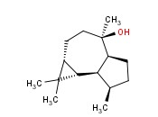 喇叭茶<span class='lighter'>醇</span>