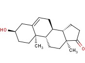<span class='lighter'>脱氢</span>雄甾酮