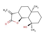 矮<span class='lighter'>艾</span>素A