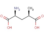 (2S,4R)-4-甲基<span class='lighter'>谷氨酸</span>