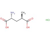 (2R,4R)-4-甲基<span class='lighter'>谷氨酸</span>盐酸盐