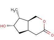 ISOBOONEIN