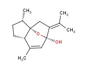莪术<span class='lighter'>醇</span>