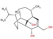 VINIGROL