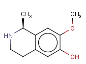 <span class='lighter'>沙</span><span class='lighter'>索</span><span class='lighter'>林</span>