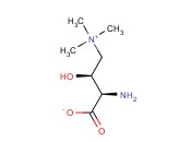 (3R)-3-<span class='lighter'>氨基</span>-4-(三甲基氨)<span class='lighter'>丁酸</span>酯