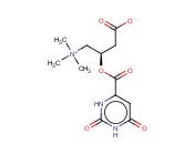 左旋肉碱<span class='lighter'>乳</span><span class='lighter'>清</span>酸盐