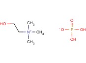 <span class='lighter'>磷酸</span><span class='lighter'>胆碱</span>