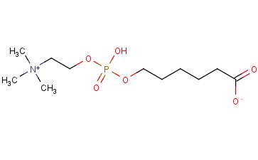 5-<span class='lighter'>噻唑</span><span class='lighter'>磺酸</span>,2-<span class='lighter'>氨基</span>-