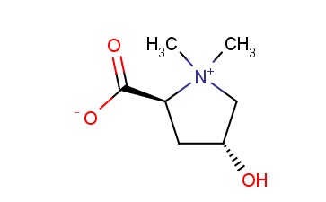 BETONICINE