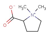 PROLINE BETAINE