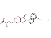 <span class='lighter'>S-</span>(5'-<span class='lighter'>腺苷</span>基)-L-氯化<span class='lighter'>蛋氨酸</span>