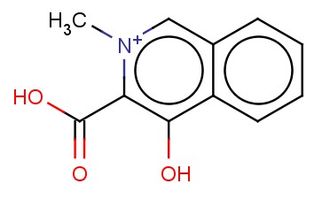 <span class='lighter'>3-CARBOXY-4-HYDROXY-2-METHYL-ISOQUINOLINIUM</span>