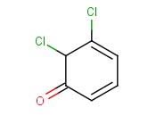 <span class='lighter'>5,6-DICHLOROCYCLOHEXA-2,4-DIEN-1-ONE</span>