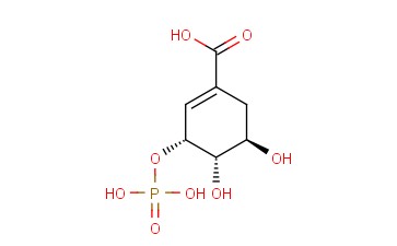 <span class='lighter'>S-3-P</span>
