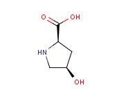 <span class='lighter'>CIS</span>-4-HYDROXY-D-PROLINE