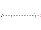 ECHELON S-<span class='lighter'>200</span>B