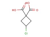 3-CHLORO-CYCLOBUTANE-<span class='lighter'>DICARBOXYLIC</span> ACID