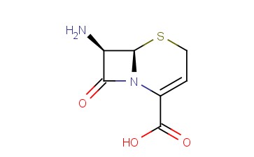 7-氨基-3-<span class='lighter'>无</span>-3-头孢环-4-羧酸