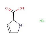 3,4-脱氢-L-<span class='lighter'>脯氨酸</span>