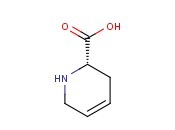 (S)-<span class='lighter'>4,5</span>-DIDEHYDROPIPECOLIC ACID