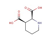 哌啶-2,3-<span class='lighter'>二羧酸</span>