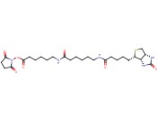 (+)-Biotin-X-X-NHS
