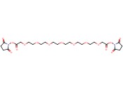 HEPTAOXATRICOSANEDIOIC ACID BIS(<span class='lighter'>N-HYDROXYSUCCINIMIDE</span>) ESTER
