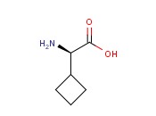 D-环丁基甘氨酸