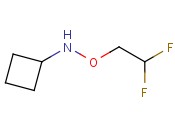 N-CYCLOBUTYL-O-(2,2-DIFLUOROETHYL)HYDROXYLAMINE