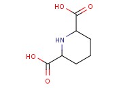 哌啶-2,6-二甲酸