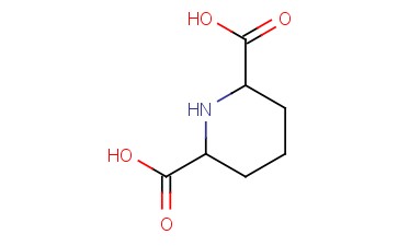 <span class='lighter'>PIPERIDINE-2,6-DICARBOXYLIC</span> ACID