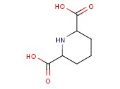 <span class='lighter'>PIPERIDINE</span>-2,6-DICARBOXYLIC ACID
