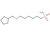 6-(CYCLOPENTYLMETHOXY)<span class='lighter'>HEXANE</span>-1-SULFONAMIDE