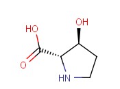TRANS-3-HYDROXY-L-PROLINE