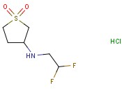 (2,2-DIFLUORO-ETHYL)-(1,1-DIOXO-TETRAHYDROTHIOPHEN-3-YL)-AMINE HYDROCHLORIDE