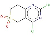 2,4-二氯-7,8-二氢-5H-噻喃并[4,3-d]嘧啶 6,6-二氧化物