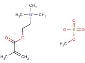 N,<span class='lighter'>N-DIMETHYLAMINOETHYL</span> <span class='lighter'>METHACRYLATE</span> Q SALT, <span class='lighter'>METHOSULFATE</span>