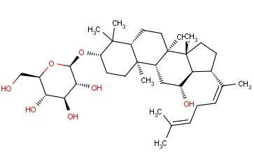 <span class='lighter'>人参</span><span class='lighter'>皂</span><span class='lighter'>苷</span> <span class='lighter'>Rh3</span>