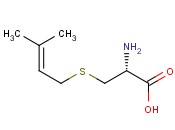 普瑞司<span class='lighter'>坦</span>