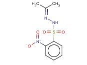 2-<span class='lighter'>NITRO</span>-N'-(PROPAN-2-YLIDENE)BENZENESULFONOHYDRAZIDE