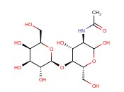 N-ACETYLLACTOSAMINE