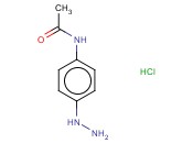 4-乙酰氨基<span class='lighter'>苯</span><span class='lighter'>肼</span><span class='lighter'>盐酸盐</span>