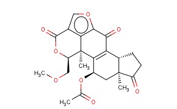 <span class='lighter'>WORTMANNIN</span>, <span class='lighter'>PENICILLIUM</span> WORTMANNI