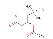 O-<span class='lighter'>乙酰</span>肉碱